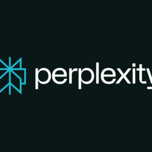 Perplexity